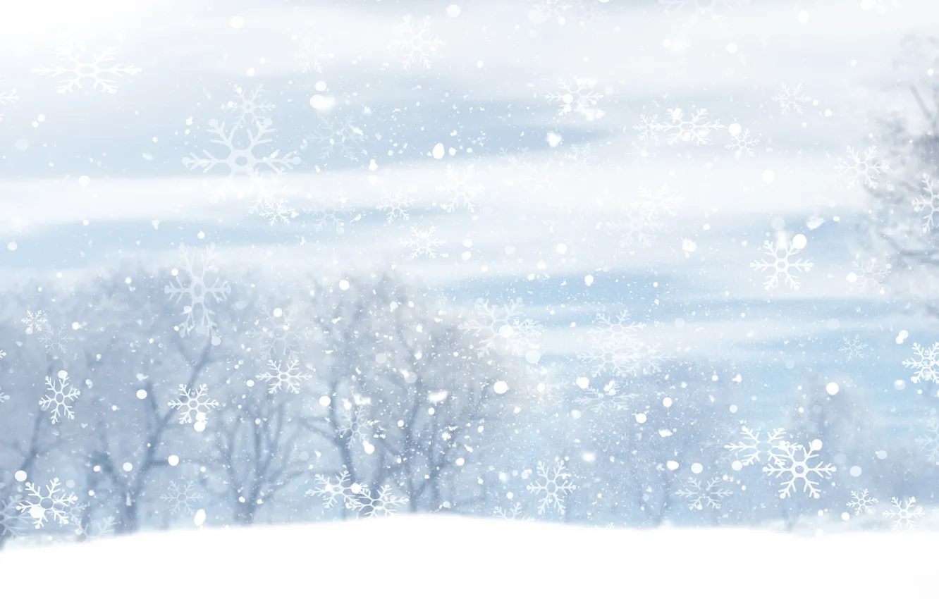 Photo wallpaper winter, forest, the sky, clouds, snow, trees, snowflakes, new year