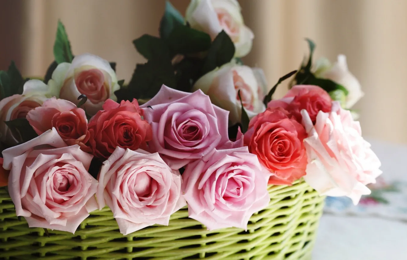 Photo wallpaper roses, basket, buds, © Elena Di Guardo