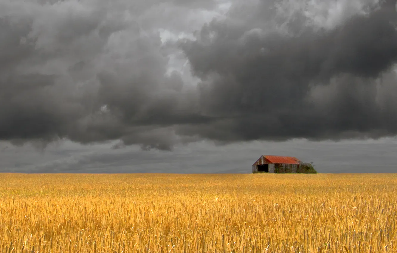 Photo wallpaper field, storm, the barn, farm, gray clouds