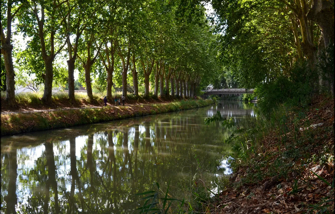 Photo wallpaper trees, bridge, Park, France, people, channel, canal du midi