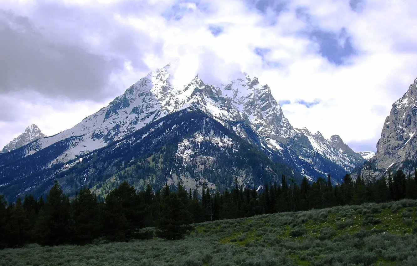 Wallpaper forest, clouds, snow, mountains, glade for mobile and desktop ...