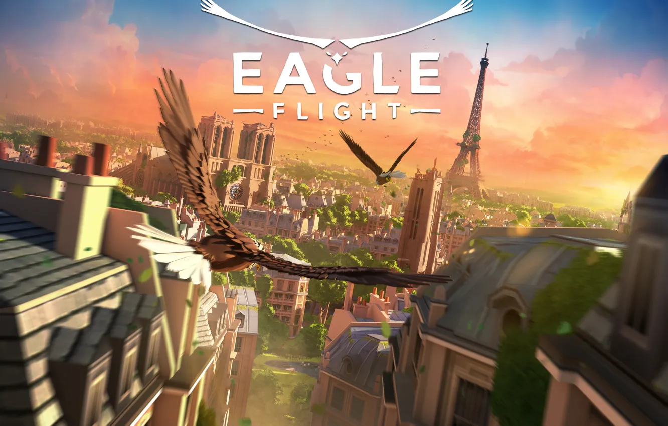 Photo wallpaper Game, Eagle Flight, TheVideoGamegallery.com