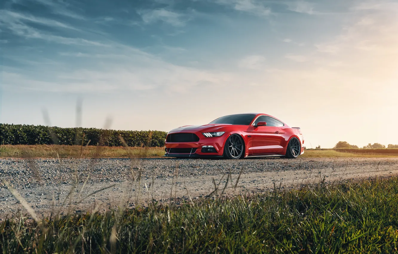 Photo wallpaper Mustang, Ford, 2018, Mustang GT, by Jimmy Zhang