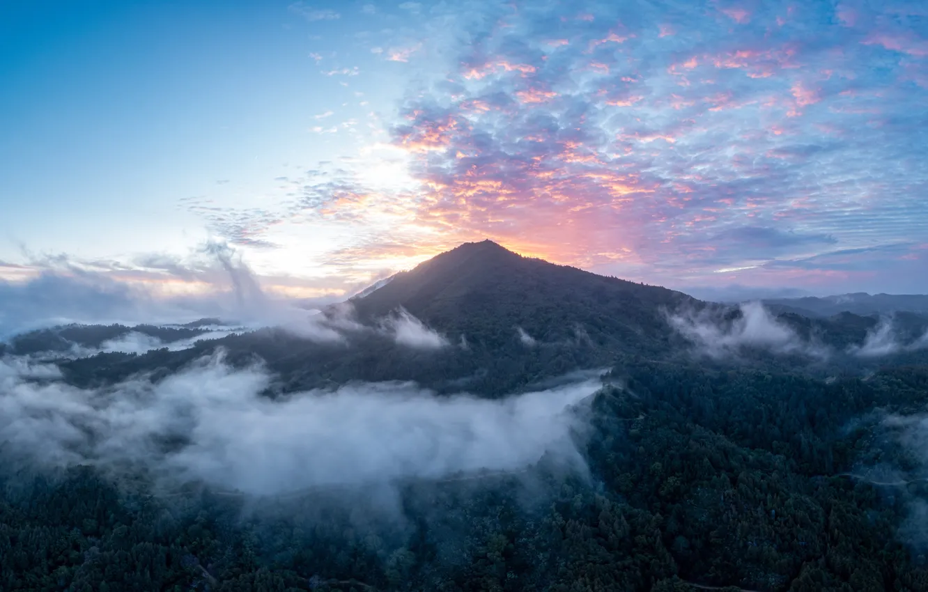 Photo wallpaper forest, mountains, fog, dawn, height, morning