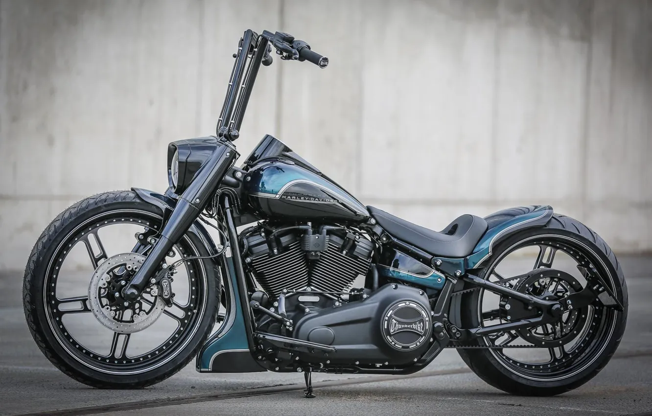 Photo wallpaper Bike, Harley-Davidson, Tuning, Thunderbike