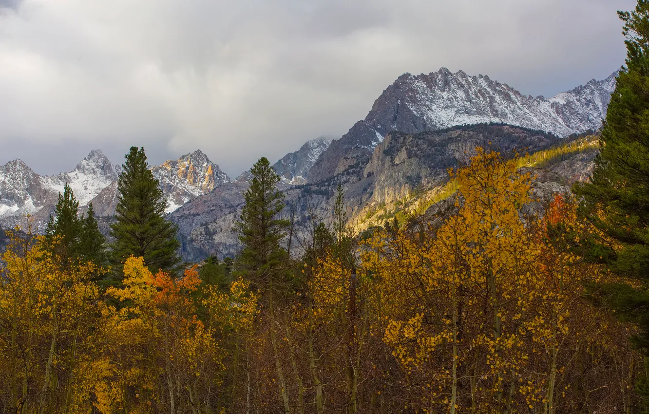 Photo wallpaper autumn, snow, trees, mountains, CA, USA