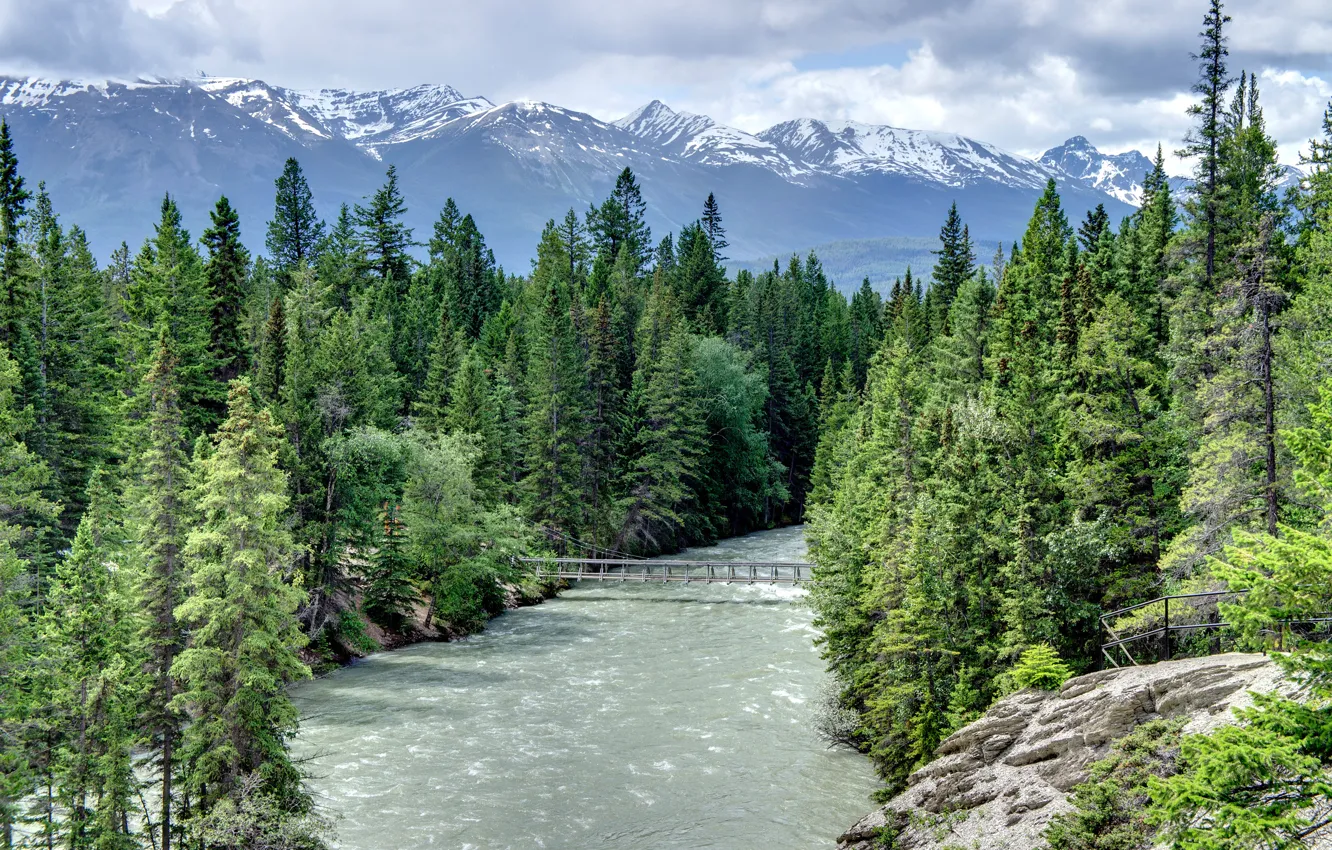 Photo wallpaper forest, the sky, clouds, snow, trees, mountains, bridge, river