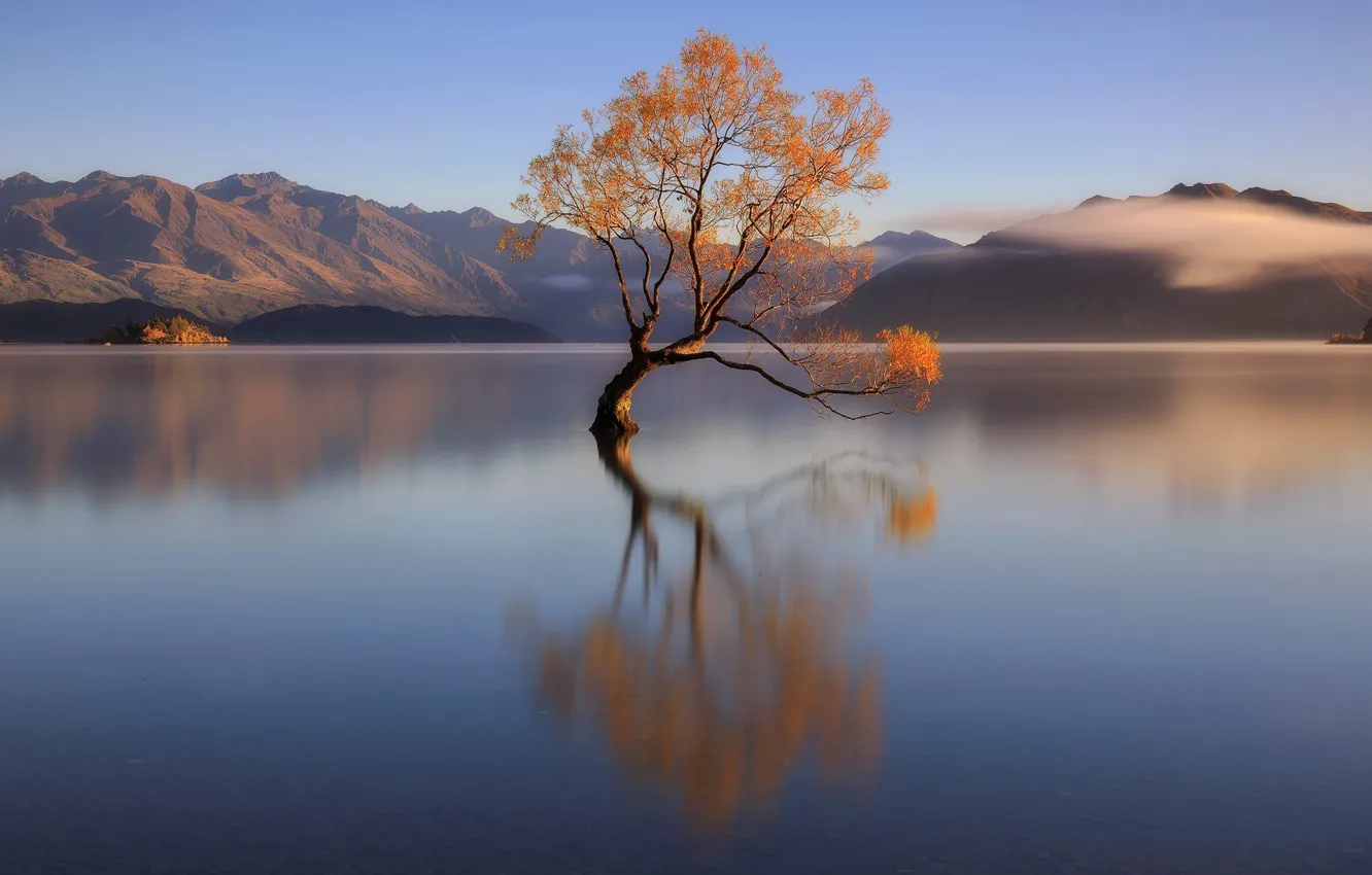 Photo wallpaper mountains, lake, tree, New Zealand