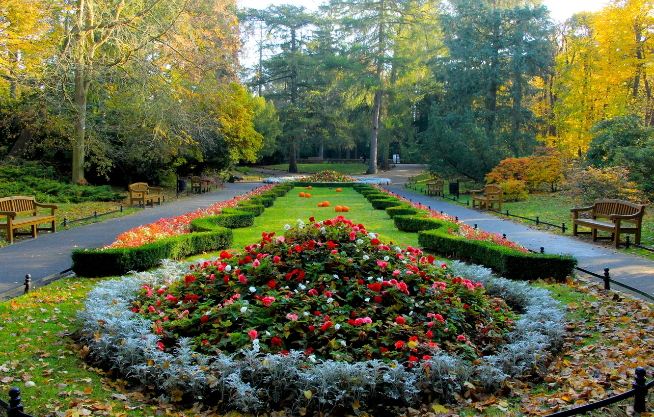 Photo wallpaper colors, flower, park