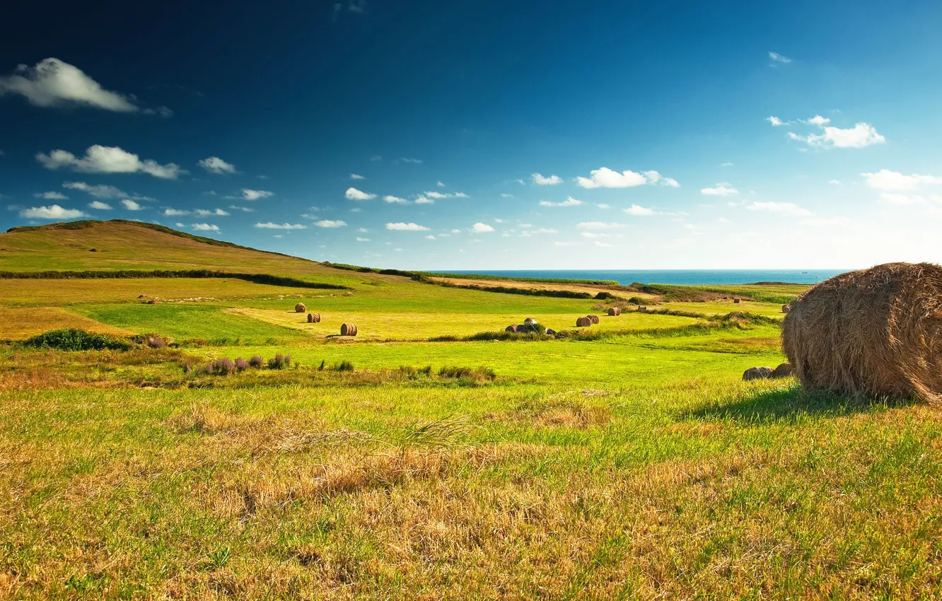 Photo wallpaper field, the sky, clouds, blue, hay, Kip