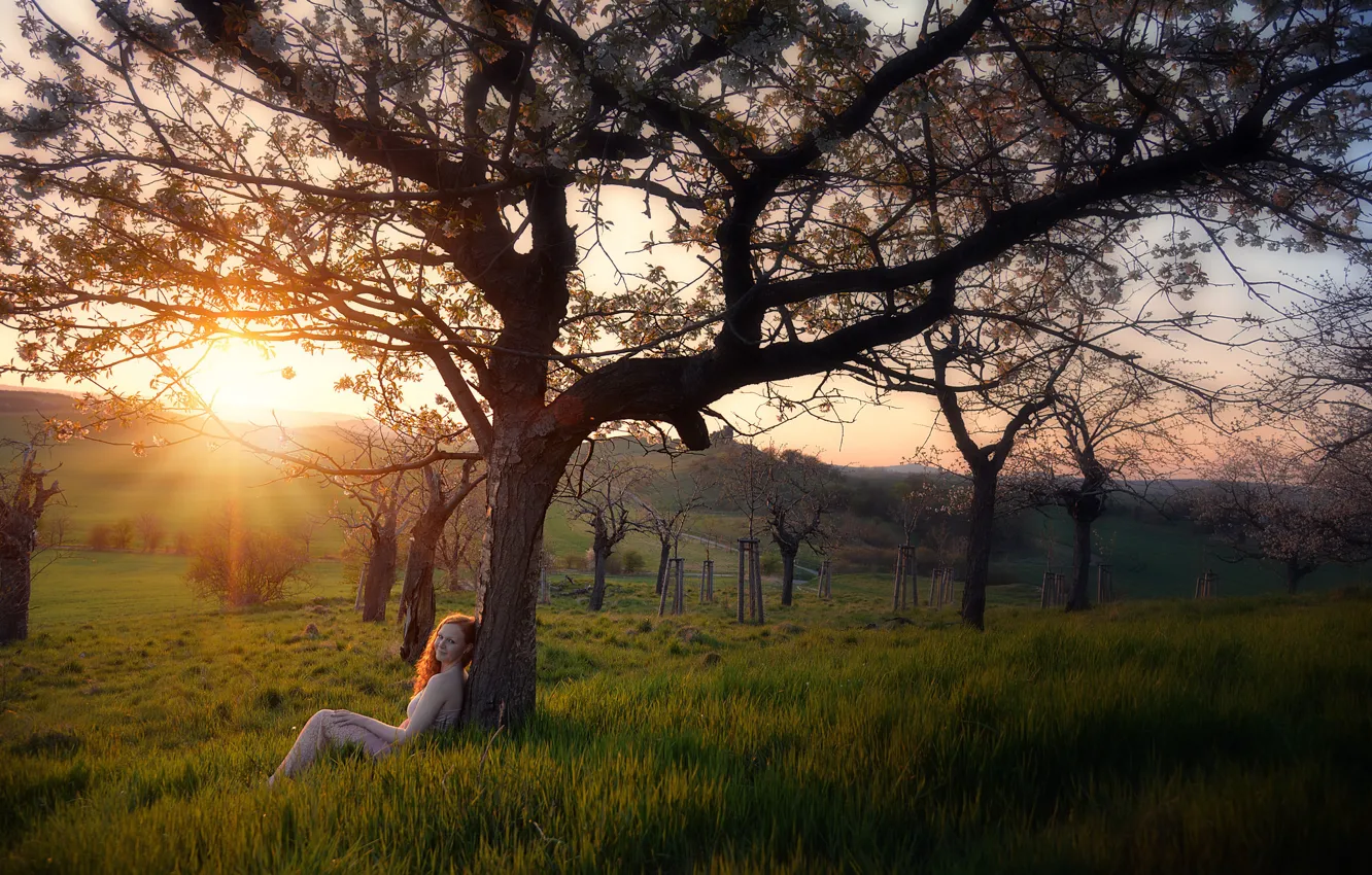 Photo wallpaper girl, sunset, garden