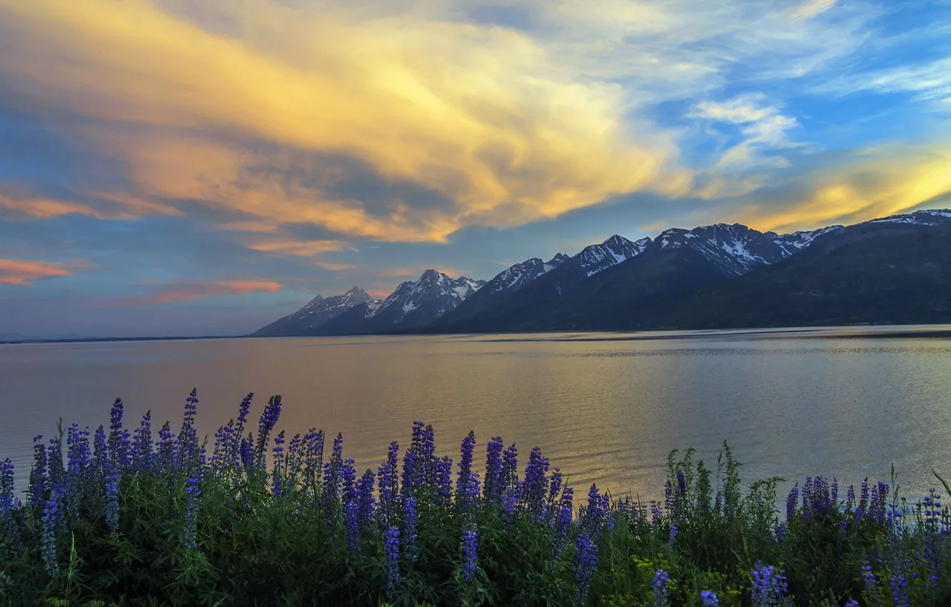 Photo wallpaper sunset, Grand Teton, Jackson Lake