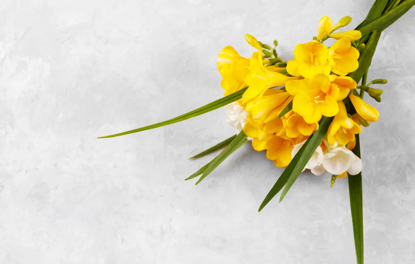 Photo wallpaper flowers, background, bouquet, freesia