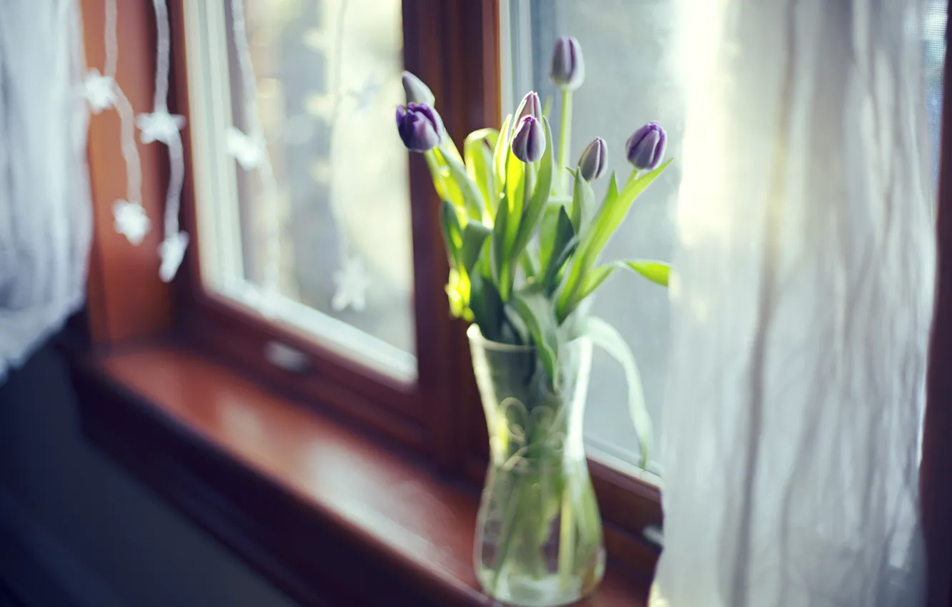 Photo wallpaper leaves, flowers, tulips, vase