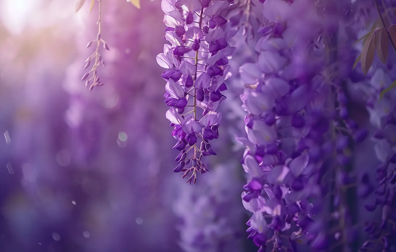 Photo wallpaper flowers, lilac, bokeh, vines, inflorescence, Wisteria, Wisteria, AI art