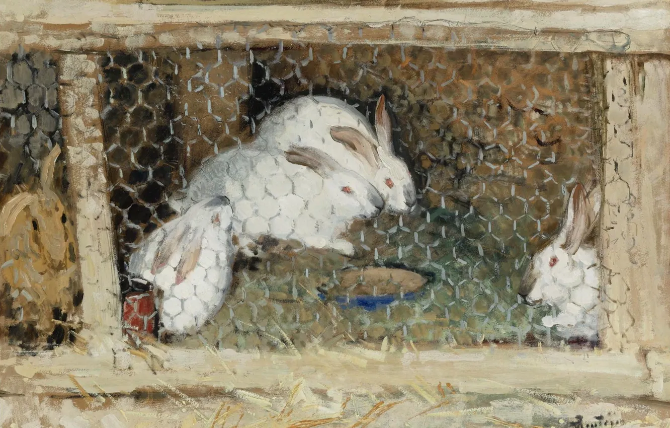 Photo wallpaper animals, picture, cell, Rabbits, Pierre Eugène Montesin, Pierre-Eugene Montezin