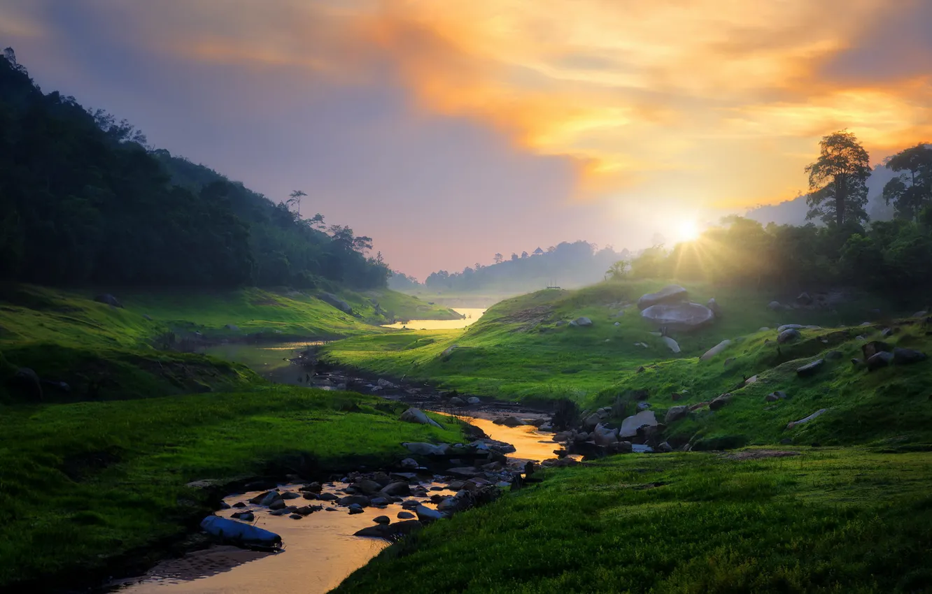 Photo wallpaper fog, river, morning