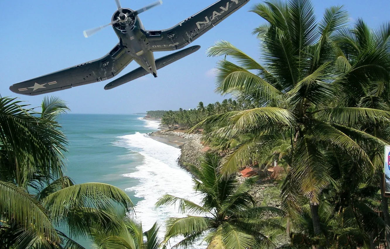 Photo wallpaper palm trees, shore, figure, island, fighter, art, the plane, American