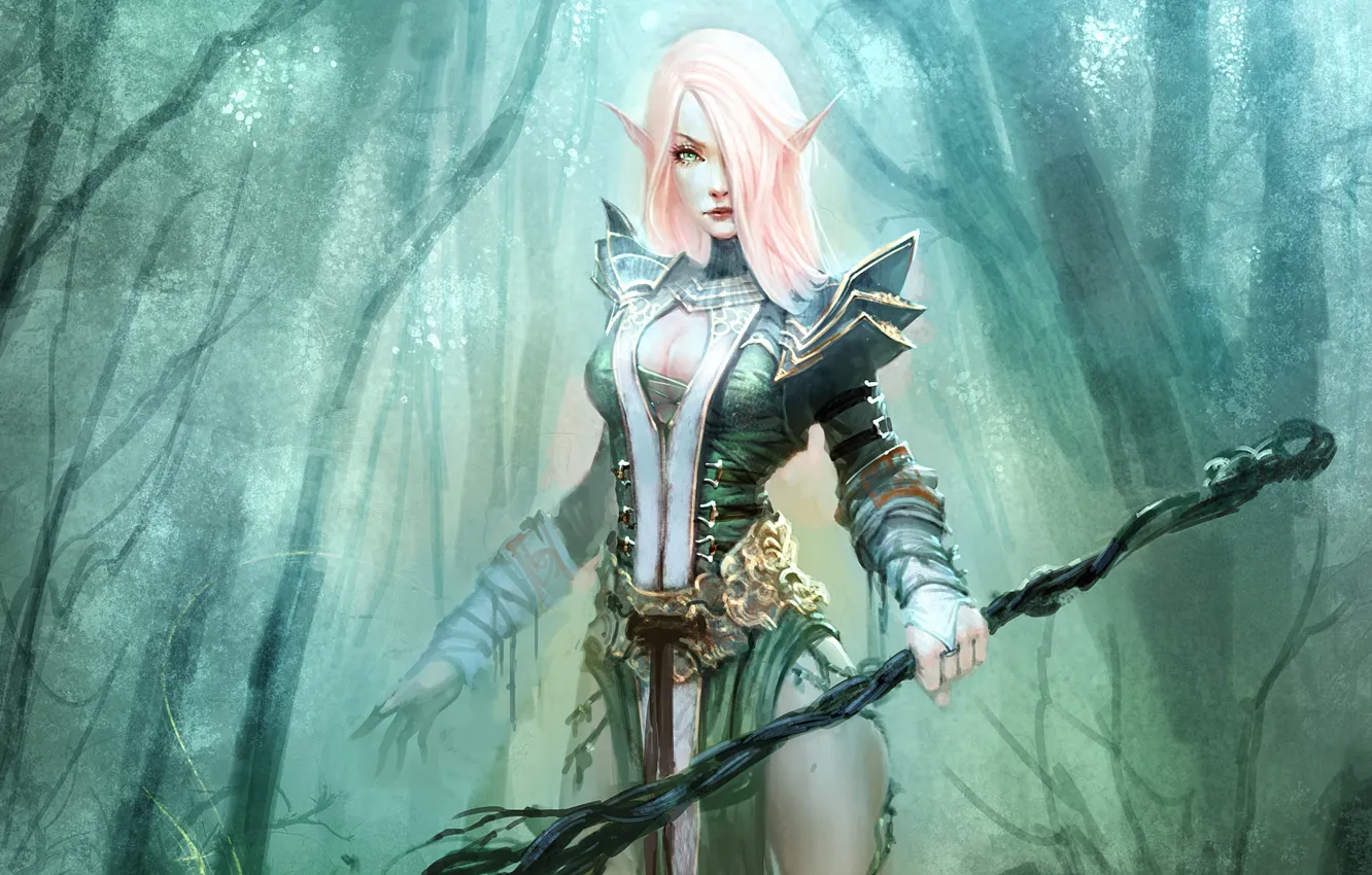 Photo wallpaper forest, Girl, armor, staff, elf