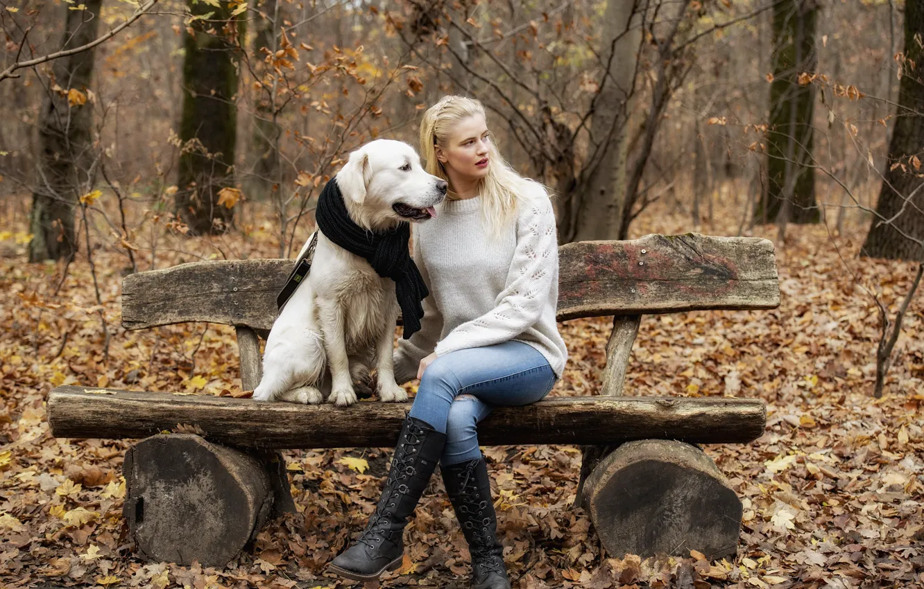 Photo wallpaper autumn, girl, bench, face, hair, dog