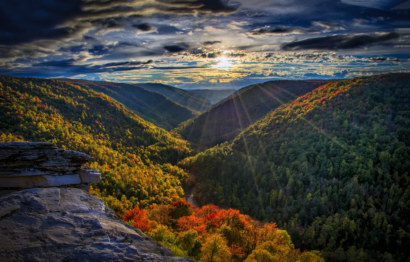Photo wallpaper autumn, forest, the sun, rays, mountains, river, the evening