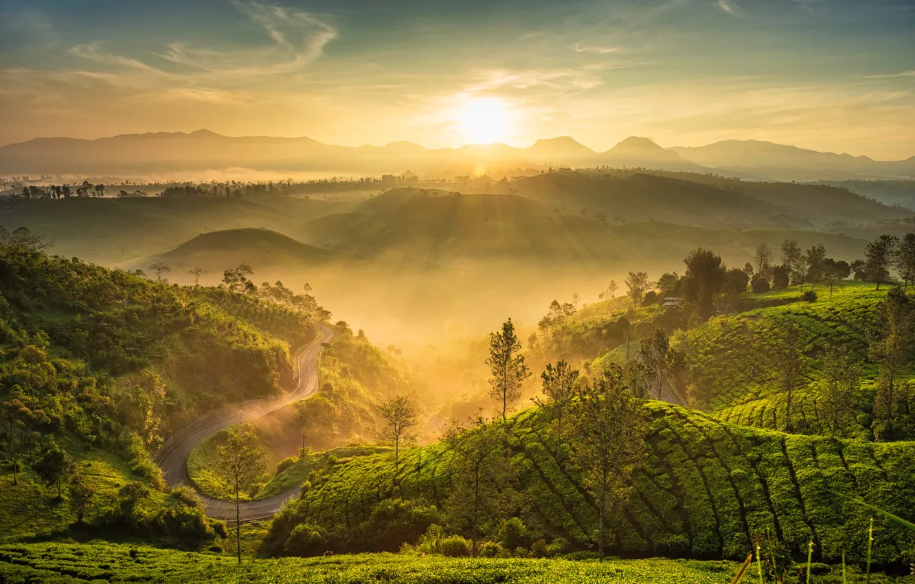 Photo wallpaper green, landscape, nature, view, mountain, morning, sunrise, Indonesia