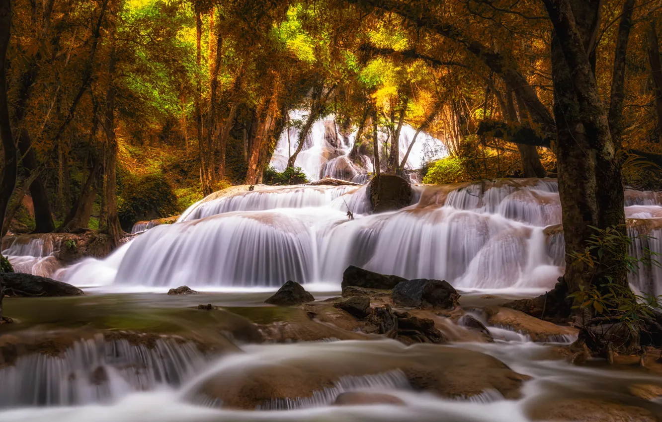 Photo wallpaper forest, landscape, river, rocks, waterfall, summer, forest, tropical