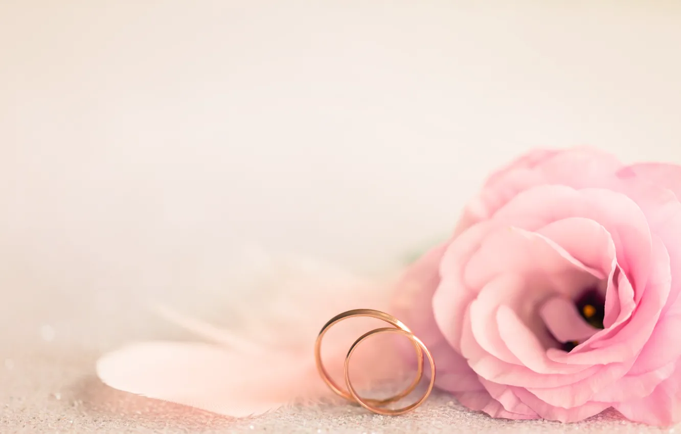 Photo wallpaper pink, holiday, ring, wedding, eustoma
