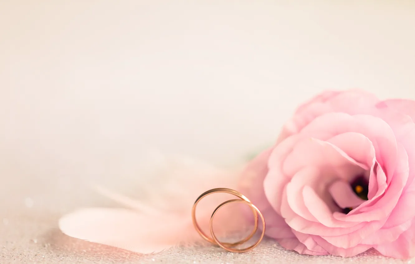 Photo wallpaper holiday, ring, pink, wedding, eustoma