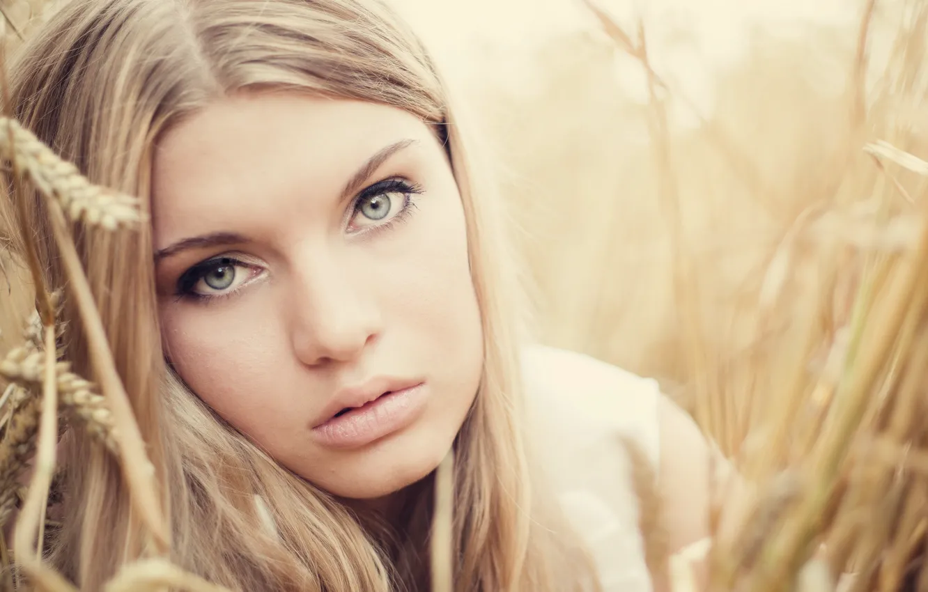 Photo wallpaper look, face, portrait, ears, Alina Proud Castle