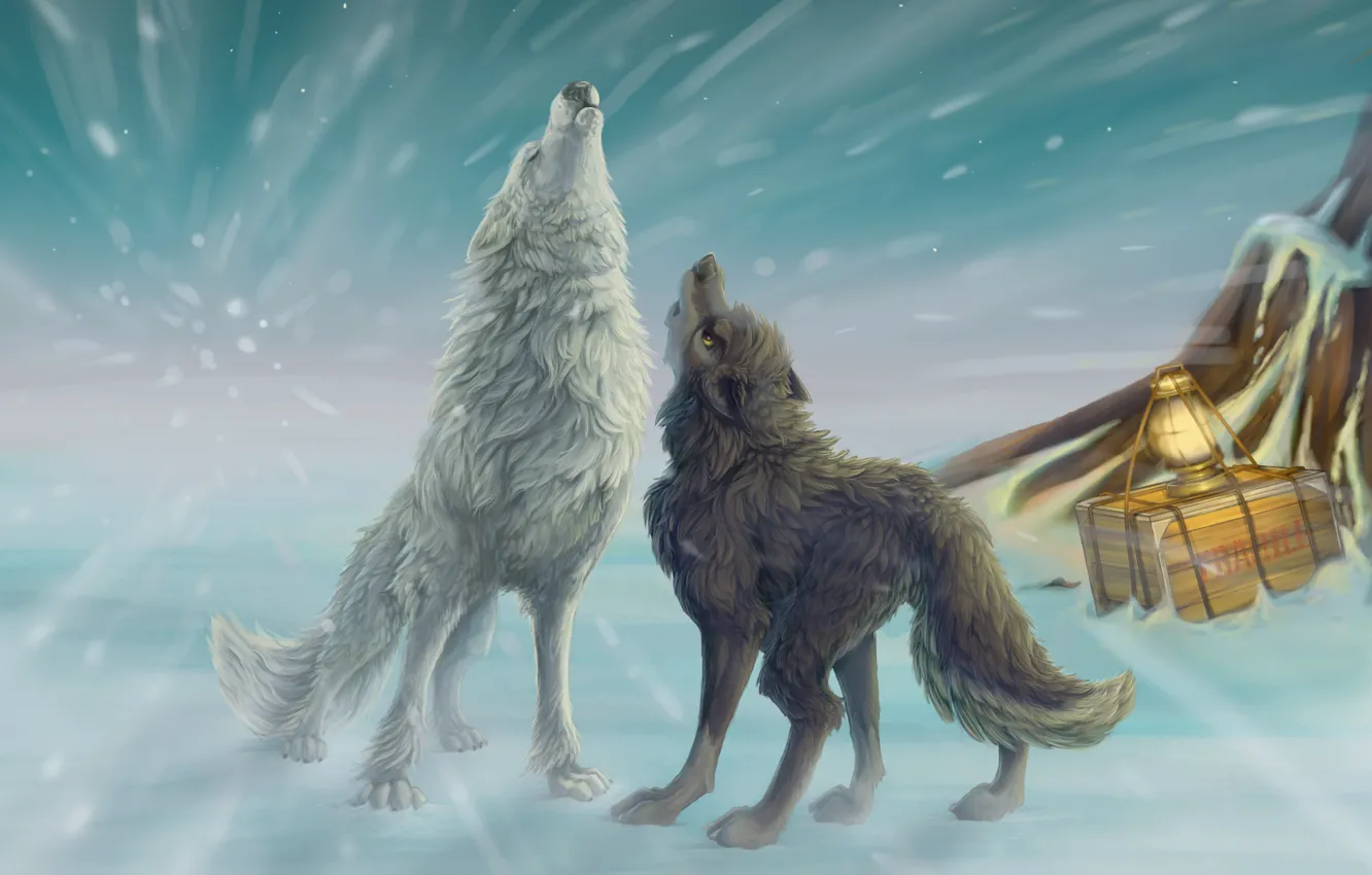 Photo wallpaper winter, snow, wolf, art, lights, howl, box, Blizzard