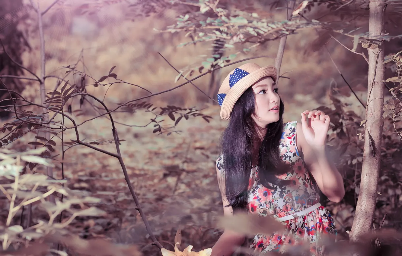 Photo wallpaper girl, background, Asian