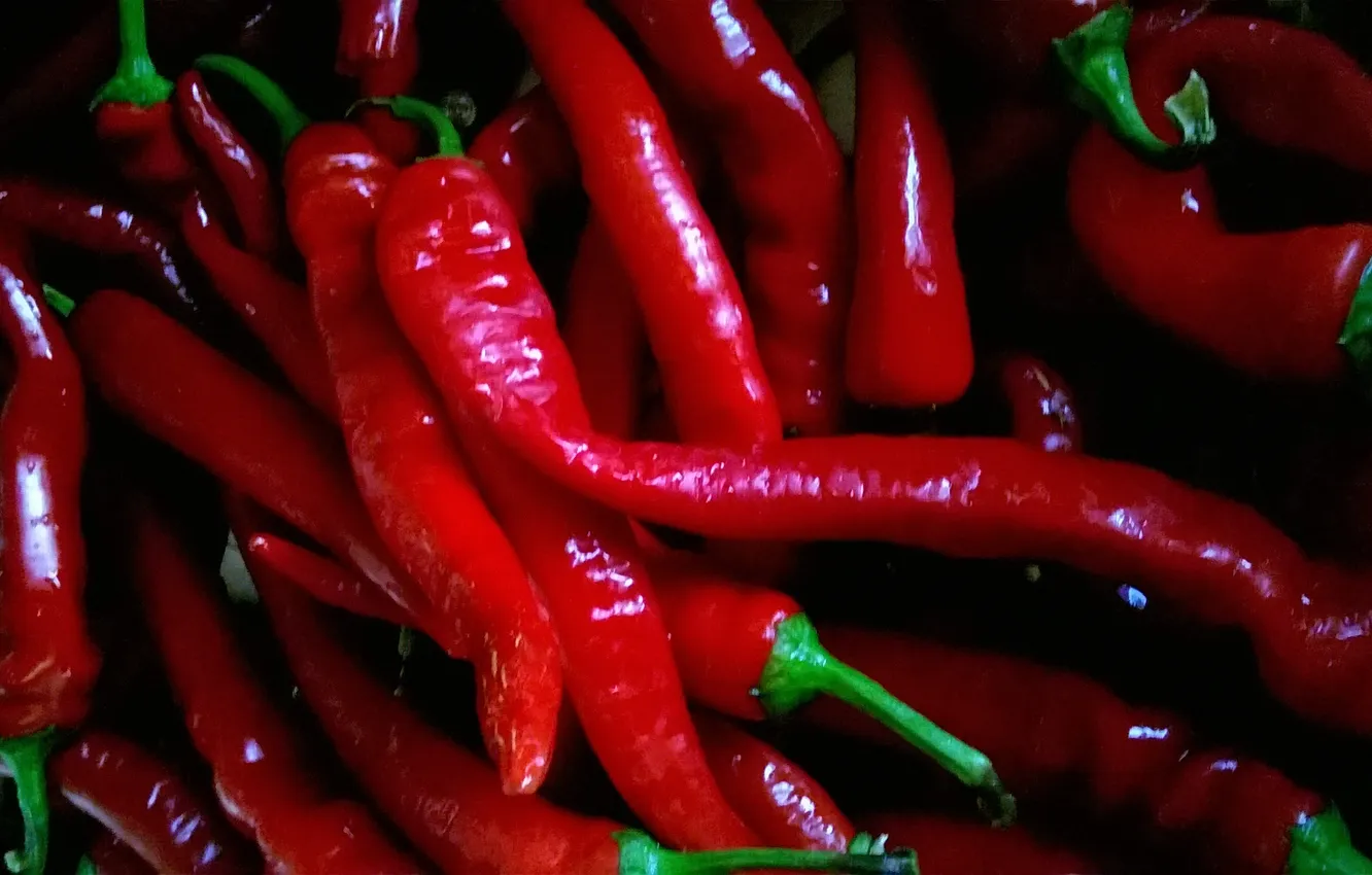 Photo wallpaper lights, lights, Chile, hot pepper