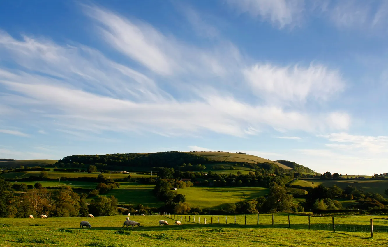 Photo wallpaper field, summer, the sky, grass, clouds, landscape, hills, view