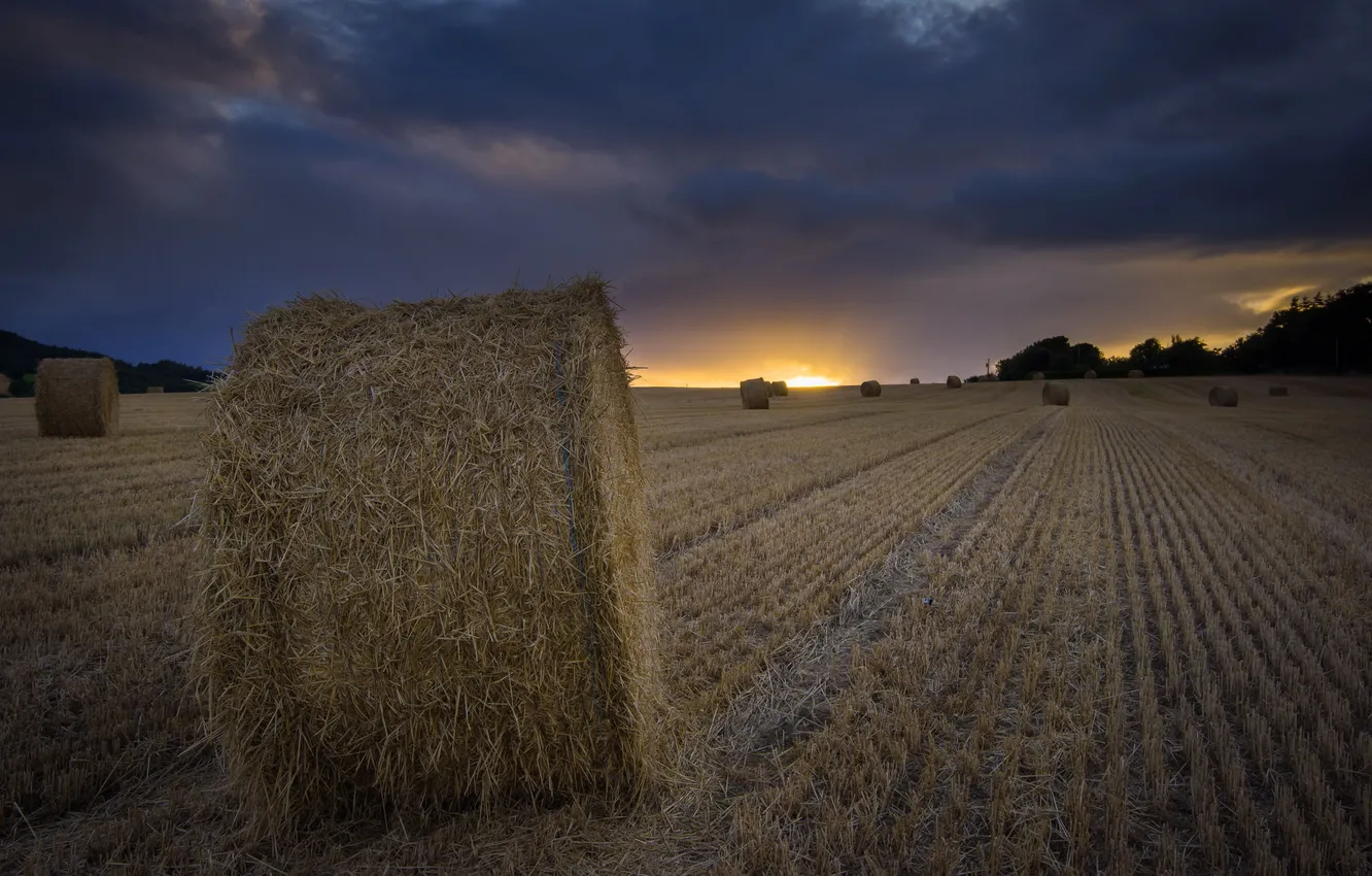 Photo wallpaper field, sunset, hay