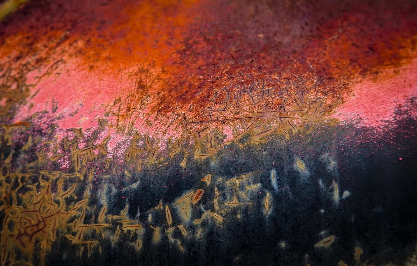 Photo wallpaper background, color, texture