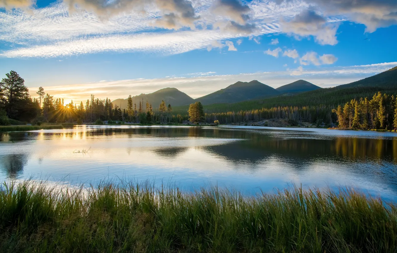 Photo wallpaper forest, the sky, grass, the sun, clouds, rays, trees, sunset