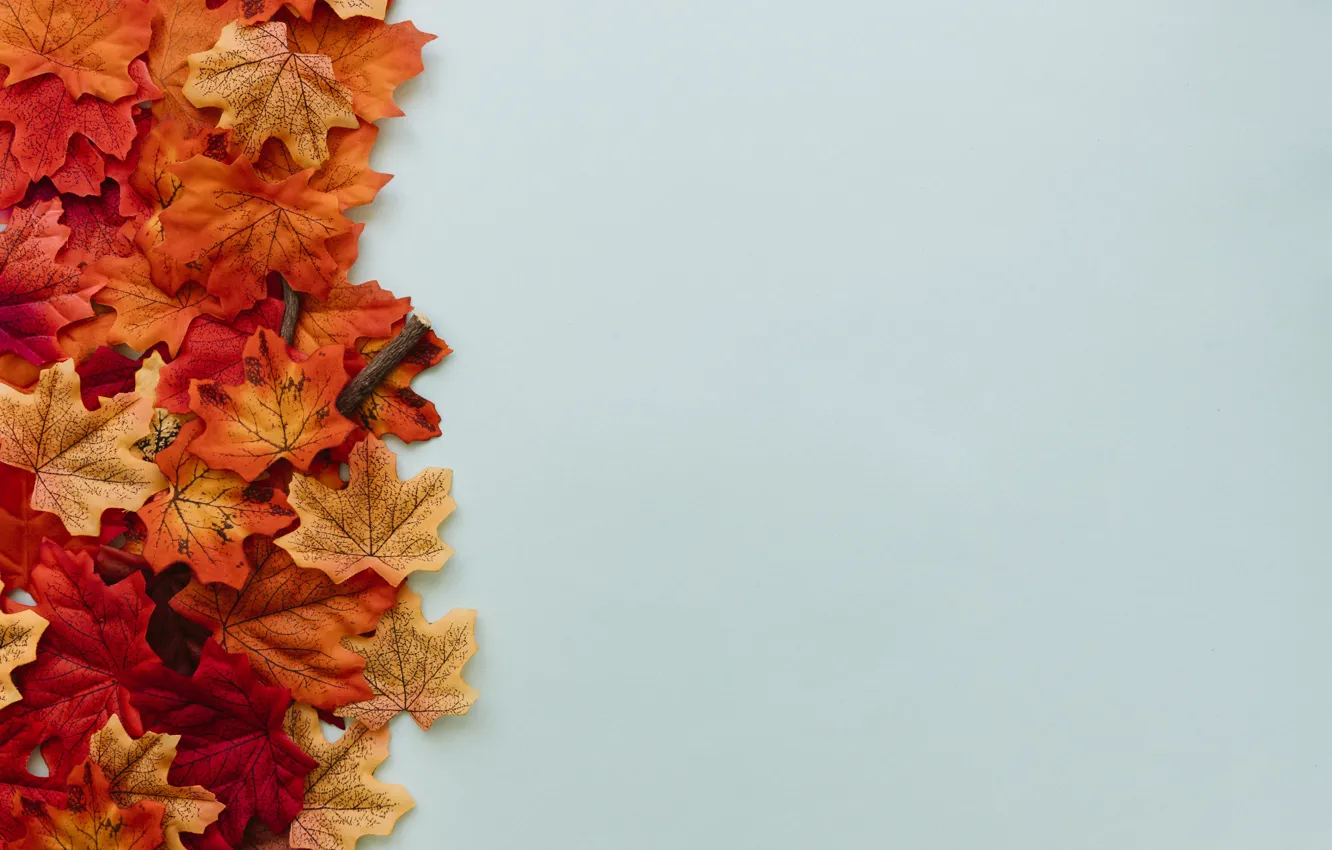 Photo wallpaper autumn, leaves, background, colorful, background, autumn, leaves, autumn