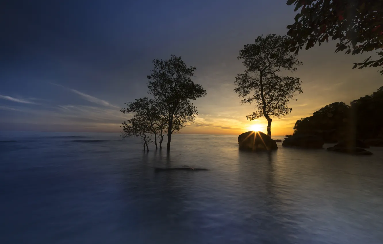 Photo wallpaper trees, sunset, lake, stones