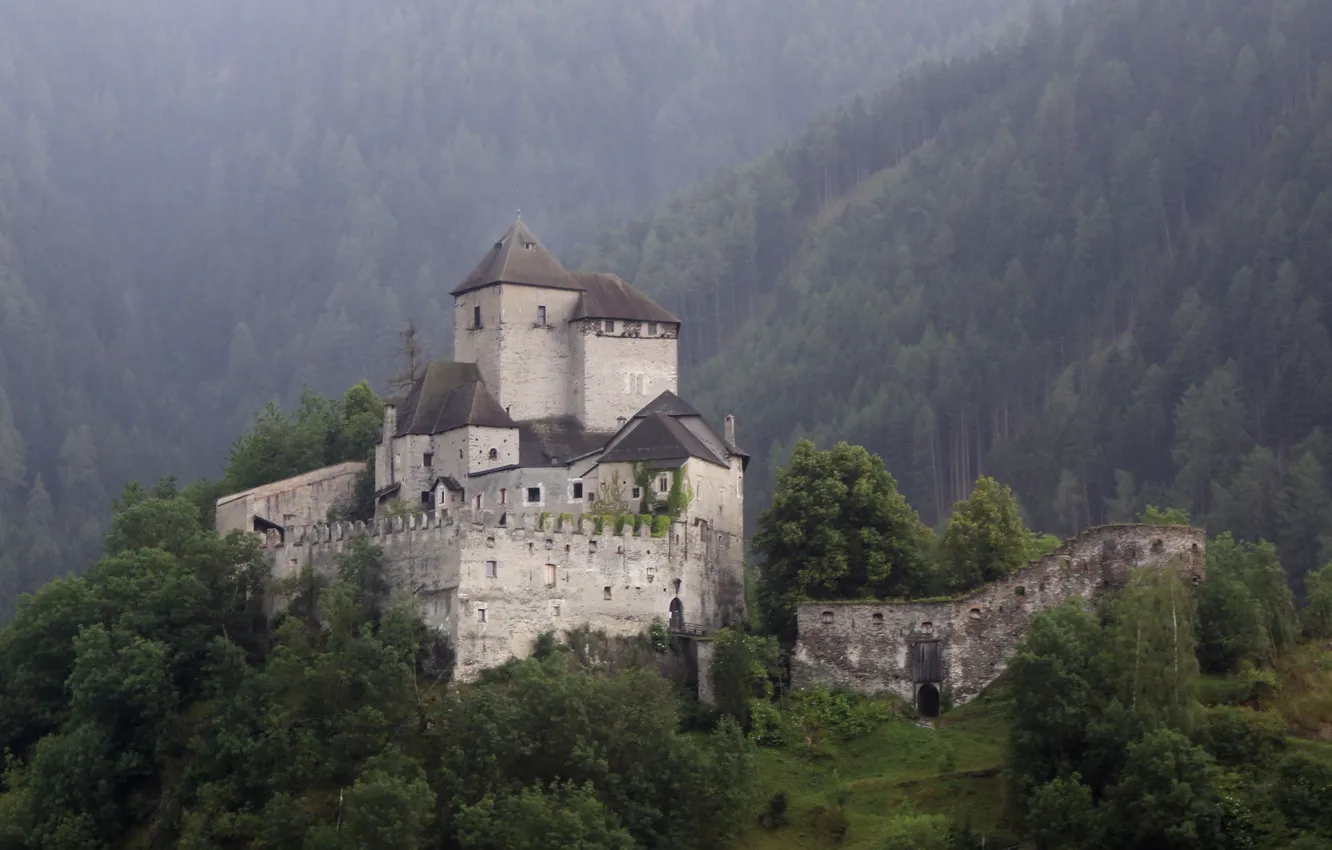 Photo wallpaper forest, trees, Italy, Italy, South Tyrol, South Tyrol, medieval architecture, Reifenstein Castle
