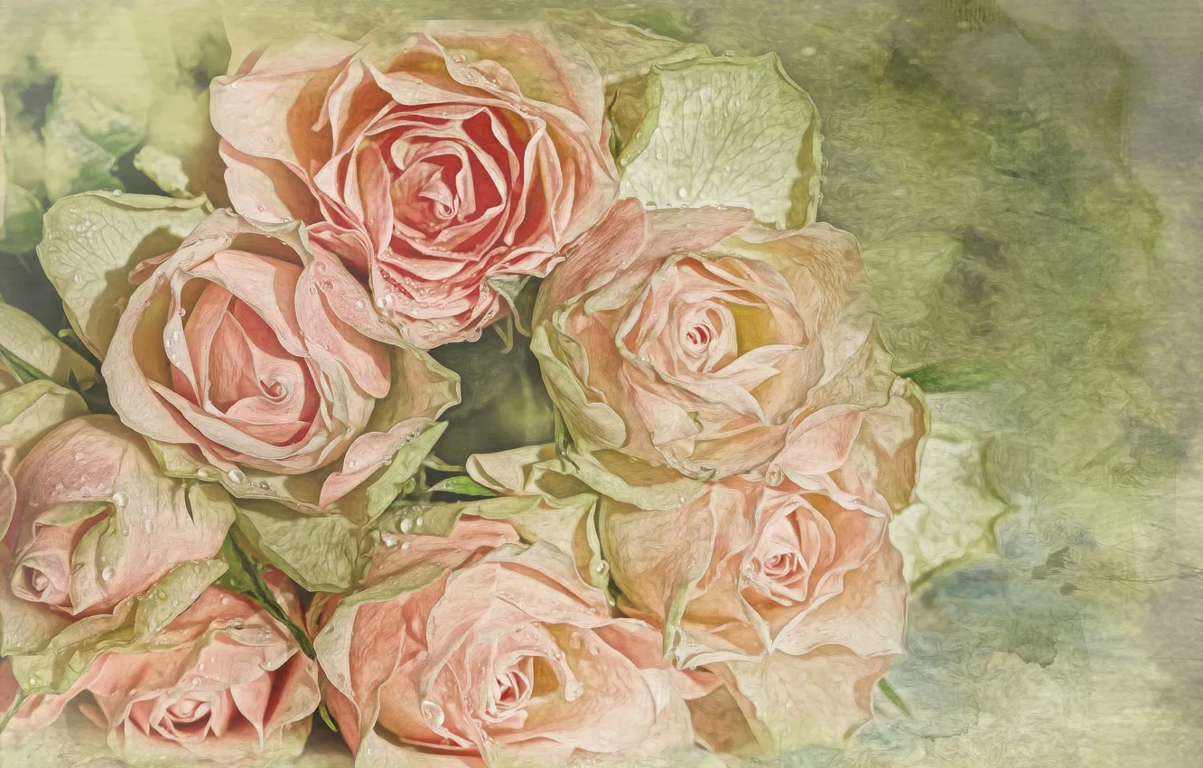 Photo wallpaper drops, roses, treatment, bouquet, buds