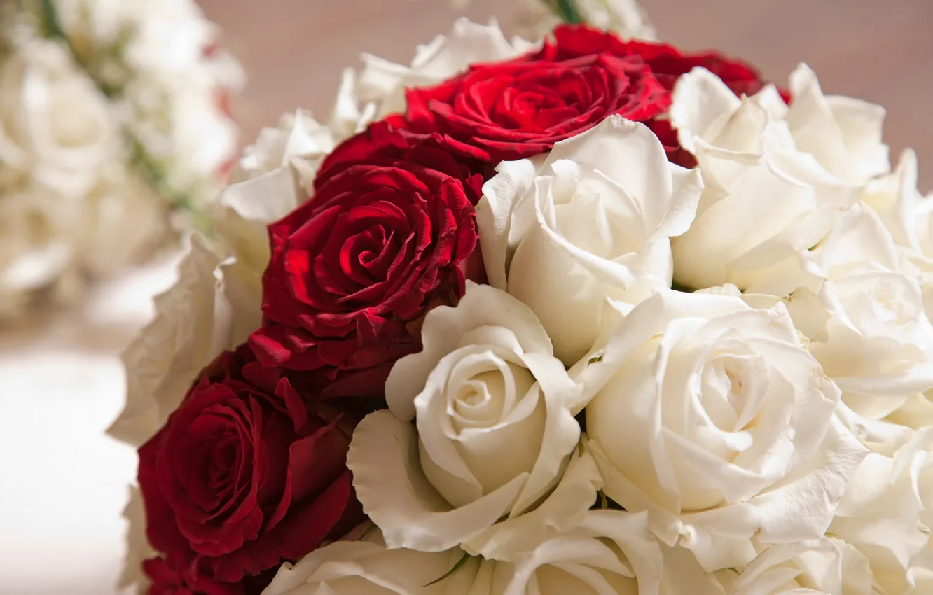 Photo wallpaper flowers, red, roses, bouquet, petals, white, buds