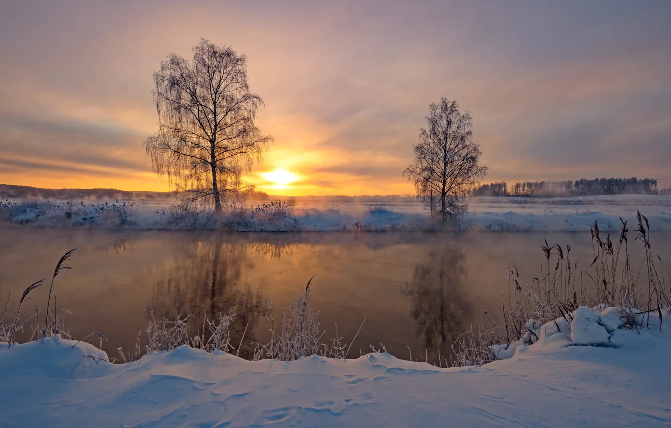 Photo wallpaper winter, snow, trees, landscape, nature, river, dawn, shore