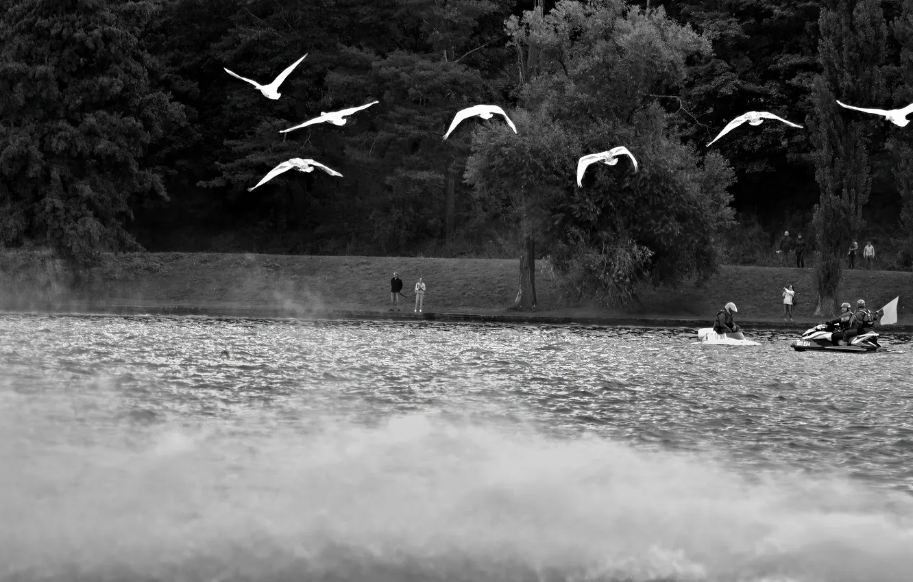 Photo wallpaper race, boat, speed
