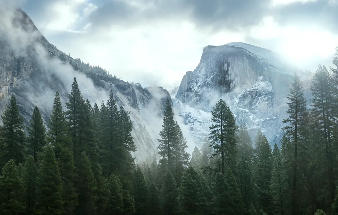 Photo wallpaper Nature, Mountains, Trees, CA, USA, Yosemite, Nevada, Sierra