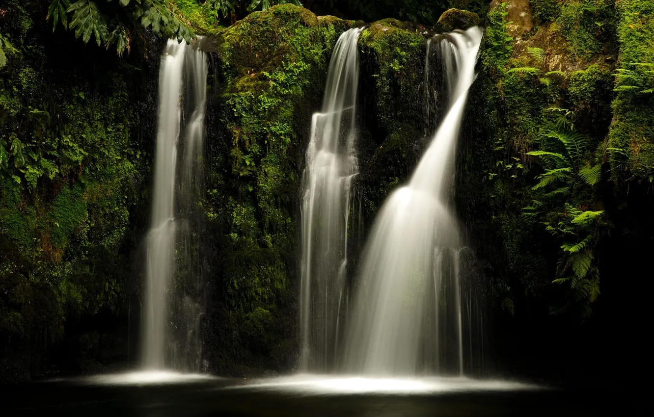 Photo wallpaper rocks, waterfall, stream, fern