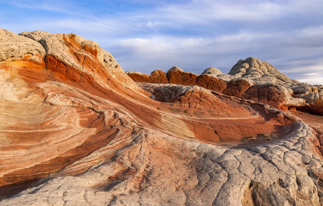 Photo wallpaper AZ, USA, Vermilion Cliffs National Monument, white pocket