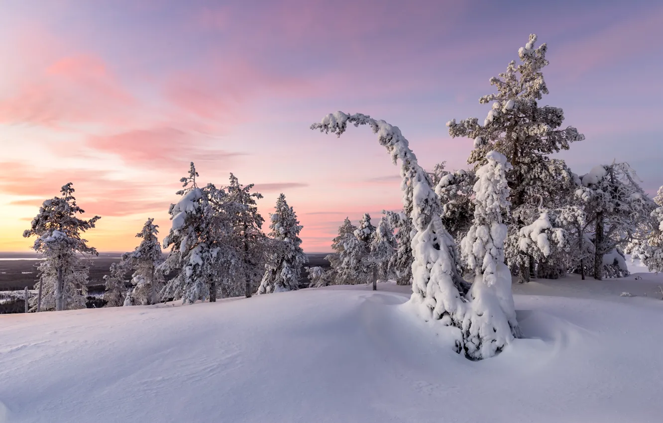 Photo wallpaper winter, snow, sunset
