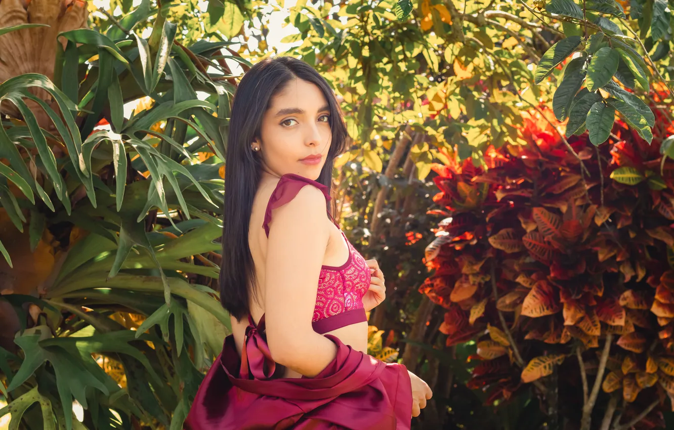 Photo wallpaper long hair, nature, model, brunette, gorgeous, posing, beautiful face, Outside