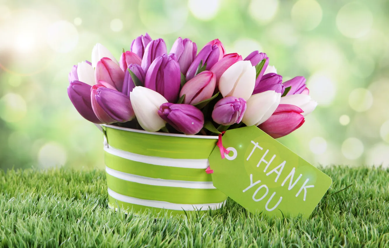 Photo wallpaper flowers, spring, tulips, bokeh